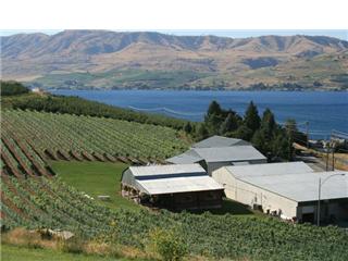 Lake Chelan Winery